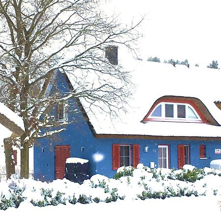 Strandhaus Lucky, Sauna, Garten, Kamin, Strandnah Glowe Dış mekan fotoğraf