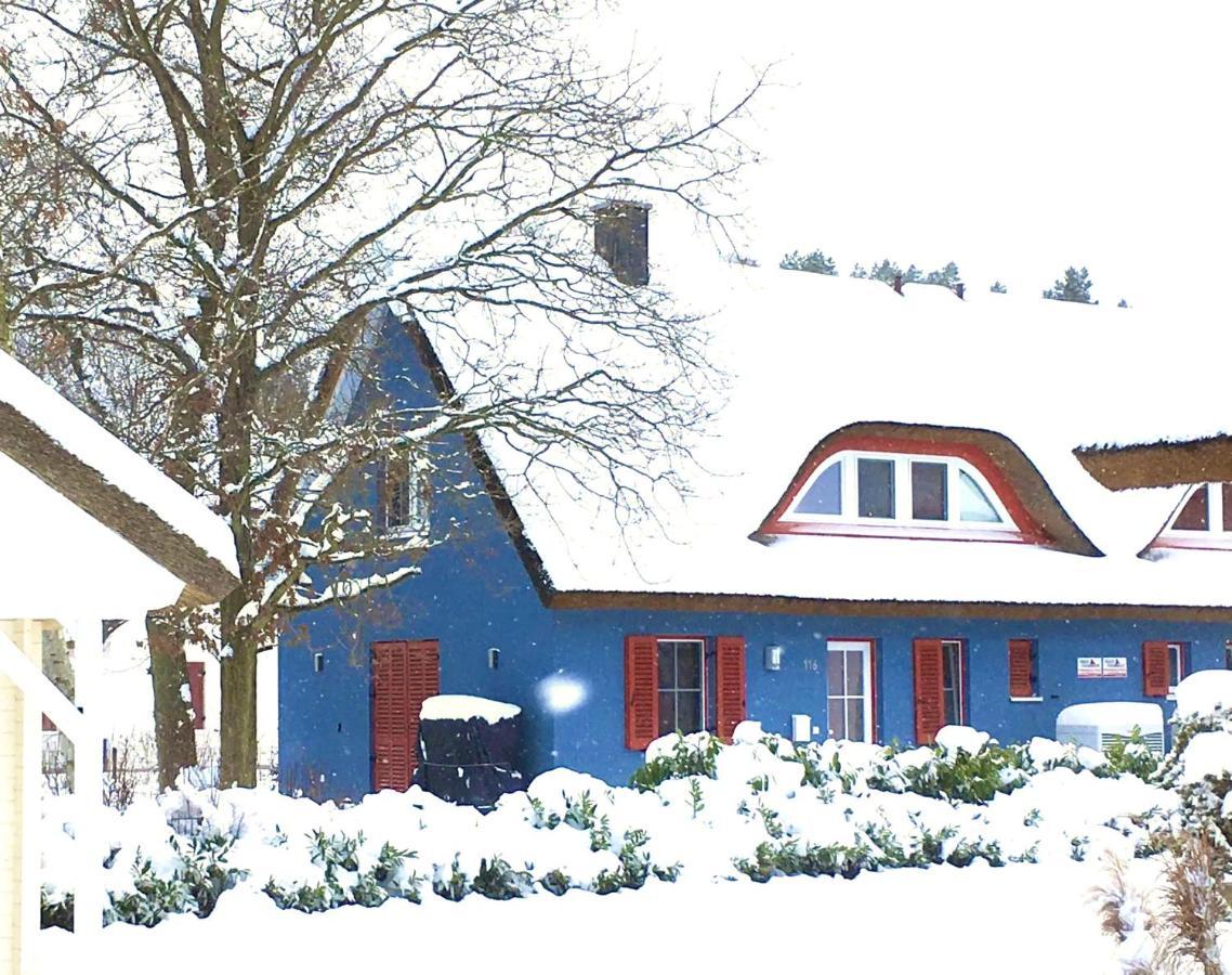 Strandhaus Lucky, Sauna, Garten, Kamin, Strandnah Glowe Dış mekan fotoğraf